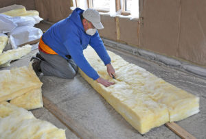 Building Green Homes environmentally friendly insulation